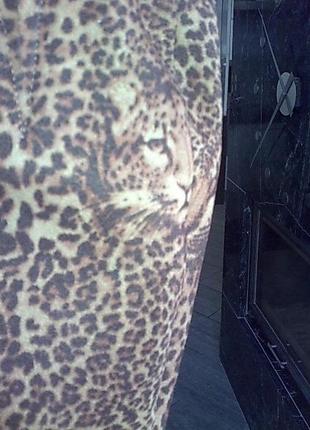 Демисезонные леопардовые сапожки р hpla р 393 фото