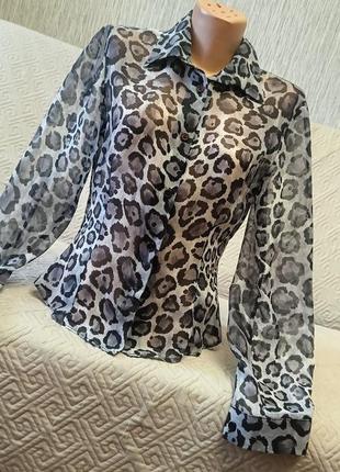 Прозрачная блуза в леопардовый принт