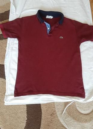 Футболка lacoste2 фото