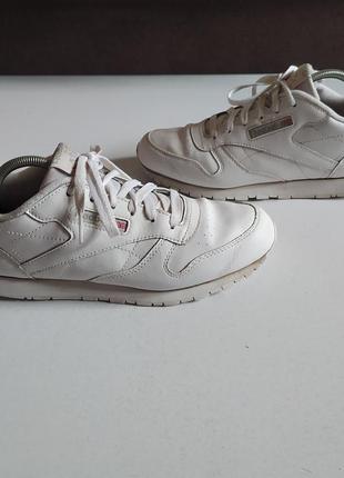 Кожаные кроссовки reebok classic