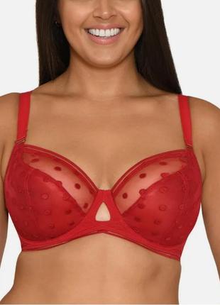65h бюстгальтер балконет curvyton