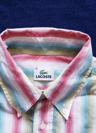 Летняя рубашка lacoste. l/m2 фото