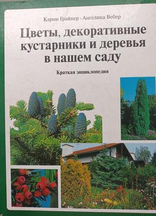 Цветы, декоративные кусты и деревья в нашем саду