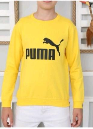 Кофтинка трикотажна puma