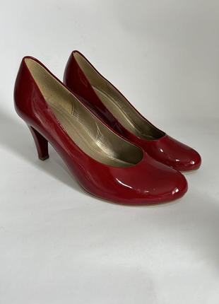 Жіночі класичні туфлі від gabor5 фото