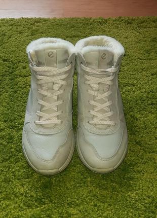 Зимние ботинки ecco st.1 на меху тёплые кроссовки кожаные salewa3 фото