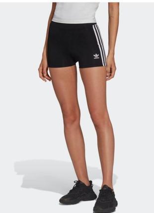 Шорти жіночі adidas2 фото