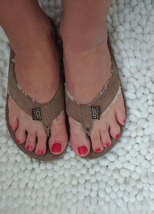 Шлёпанцы, шльопанці ugg 37-38р оригинал