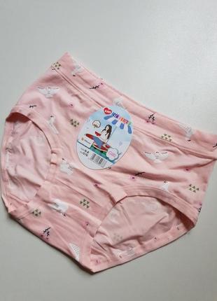 Трусики для девочки dc polo