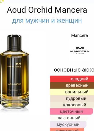 Mancera aoud orchid