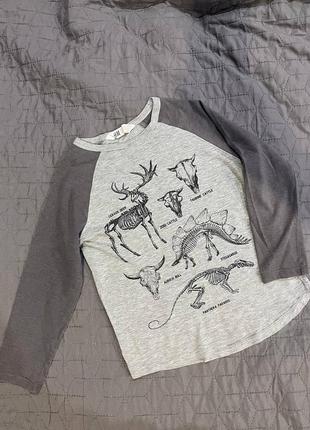 Реглан Дино + подарок