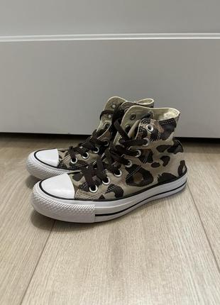 Кеди converse leopard