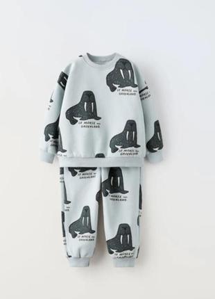 Костюм zara 9-12 місяців