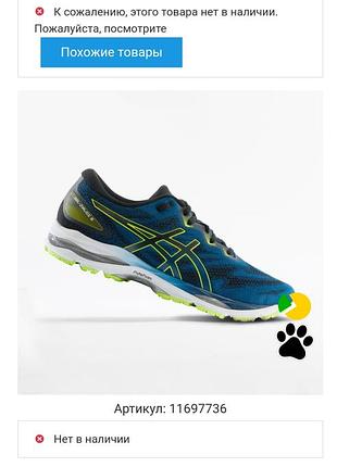 Кроссовки оригинальные беговые трейловые asics gel ziruss 5 (art.1011b501) 869