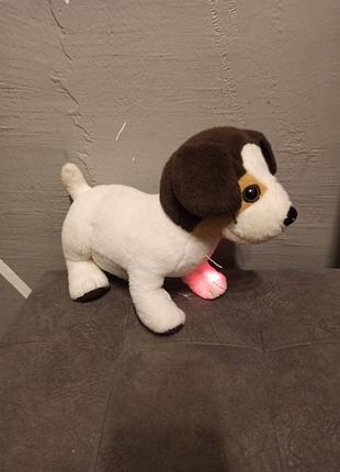 Інтерактивна собачка ронні baby born zapf creation