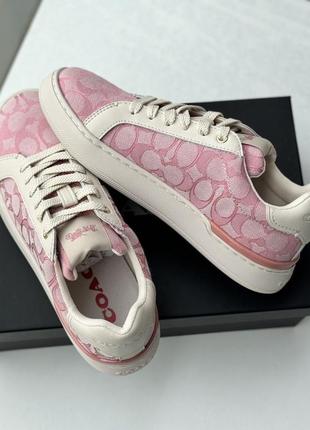 Кеди у стилі coach