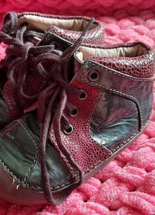 Черевички на осінь