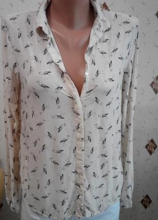 Сорочка блуза з подовженою спинкою з шифоновими вставками з боків zara