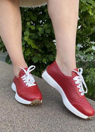 Натуральна шкіра замша всі розміри багато кольорів кросівки