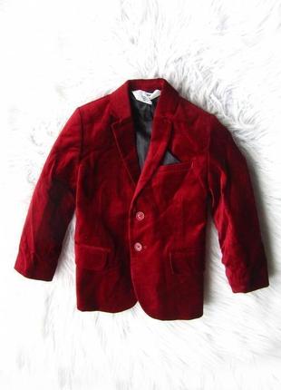 Бархатный пиджак жакет блейзер  с декоративным платком h&m5 фото