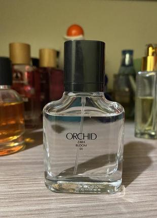 Zara orchid