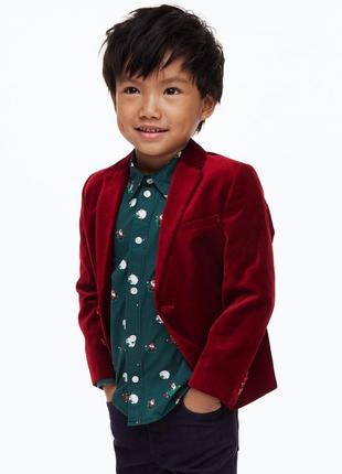 Бархатный пиджак жакет блейзер  с декоративным платком h&m