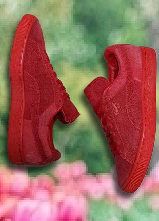 Красные замшевые кроссовки. puma suede classic сcasual emboss.  размер 37.8 фото