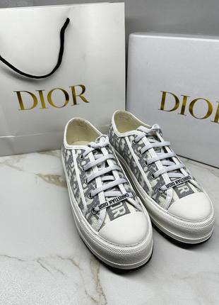 Кеди christian dior