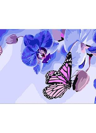 Картина по номерам бабочки на орхидеях 50х25см, термопакет, стратег, ww200