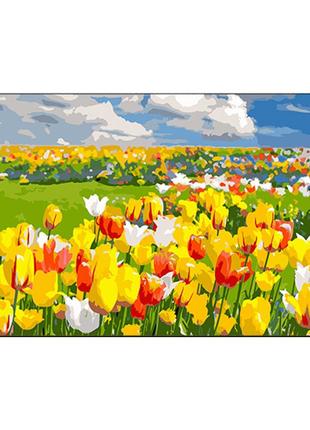 Картина за номерами поле тюльпанів 50х25см, термопакет, ww176
