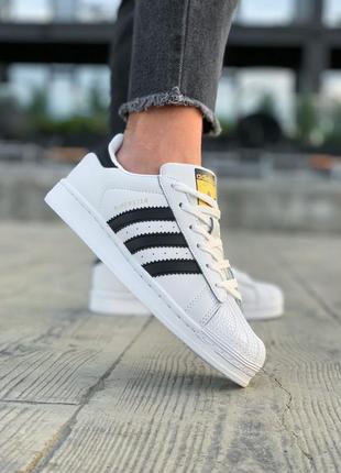 Кроссовки adidas superstar white кросівки кеди кеды