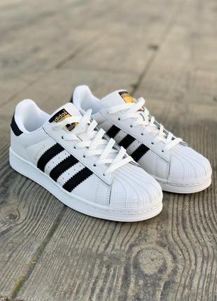 Кроссовки adidas superstar white кросівки кеди кеды10 фото