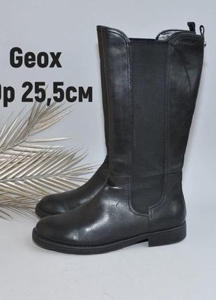Шкіряні ідеальні чобітки geox