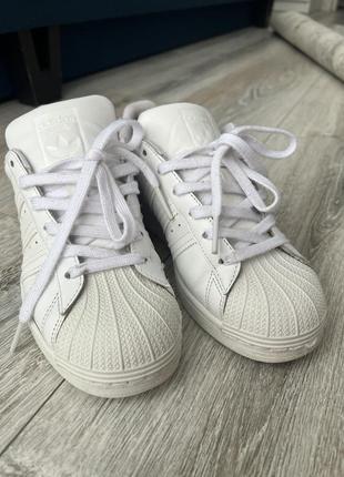 Кросівки adidas superstar