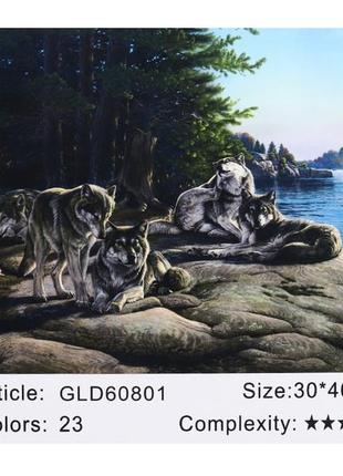 Алмазна мозаїка josef otten 30*40 зграя вовків (полотно на рамі), 60801