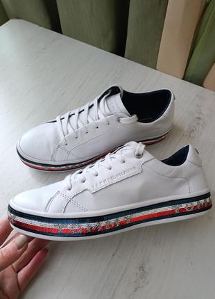 Кеди , tommy hilfiger2 фото