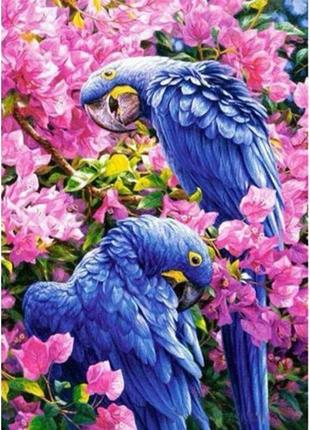Алмазная мозаика пара попугаев в цветах 30х40см, стратег, gd748391 фото