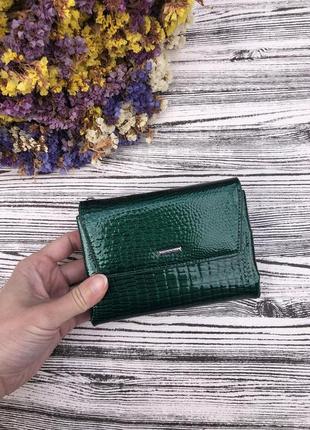 Жіночий малий (невеликий) шкіряний лаковий гаманець mario dion 3929a green