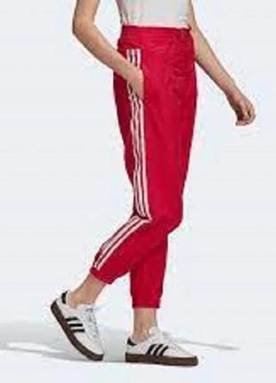 Спортивные брюки adidas paolina russo scarlet red white с высокой талией gf0268 женские xs3 фото