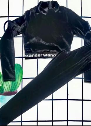 Костюм alexander wang велюровий чорний lux1 фото