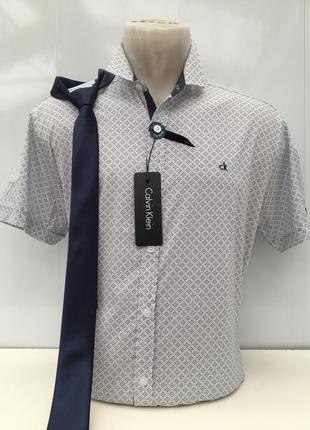 Сорочка чоловіча calvin klein
