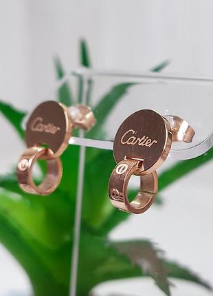 Сережки stainless steel