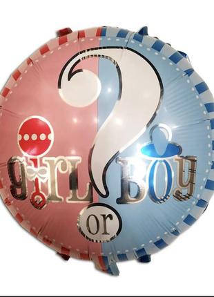 Шарики для гендер пати baby shower