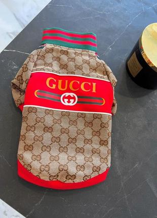 Брендовая джинсовая куртка для собак gucci на змейке под горло с красной надписью на спинке, коричневая