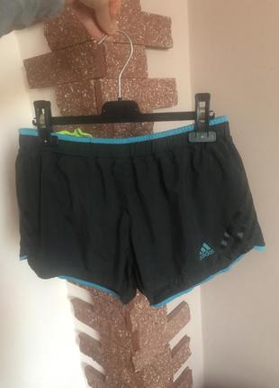 Беговые шорты adidas climacool