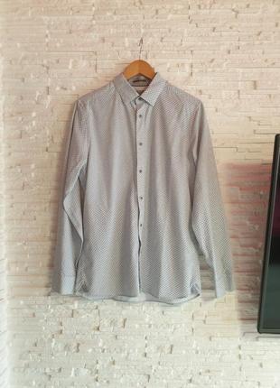 Стильна сорочка принт ted baker