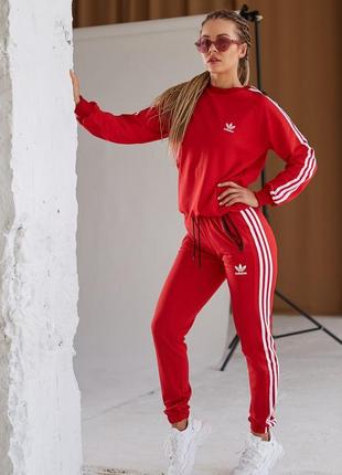 Спортивный костюм adidas: свитшот-штаны🔥