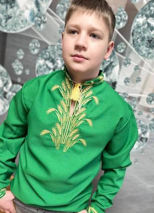 Вышиванка на мальчика "зеленые колосики"1 фото