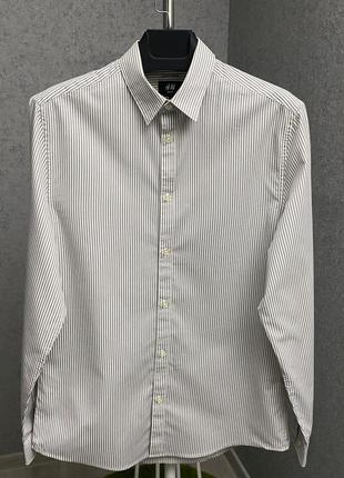 Белая полосатая рубашка от бренда h&m2 фото