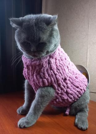 24.03-26..03 знижка 15%!!! стильний плюшевий светр для собаки , кота , светр для кішки